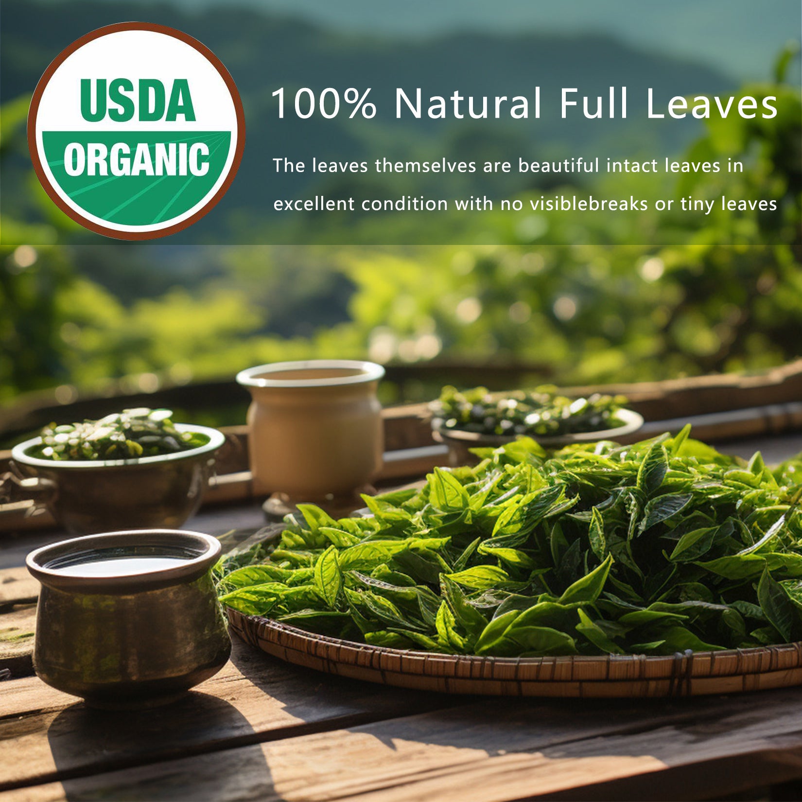 Olong Detox Tea
